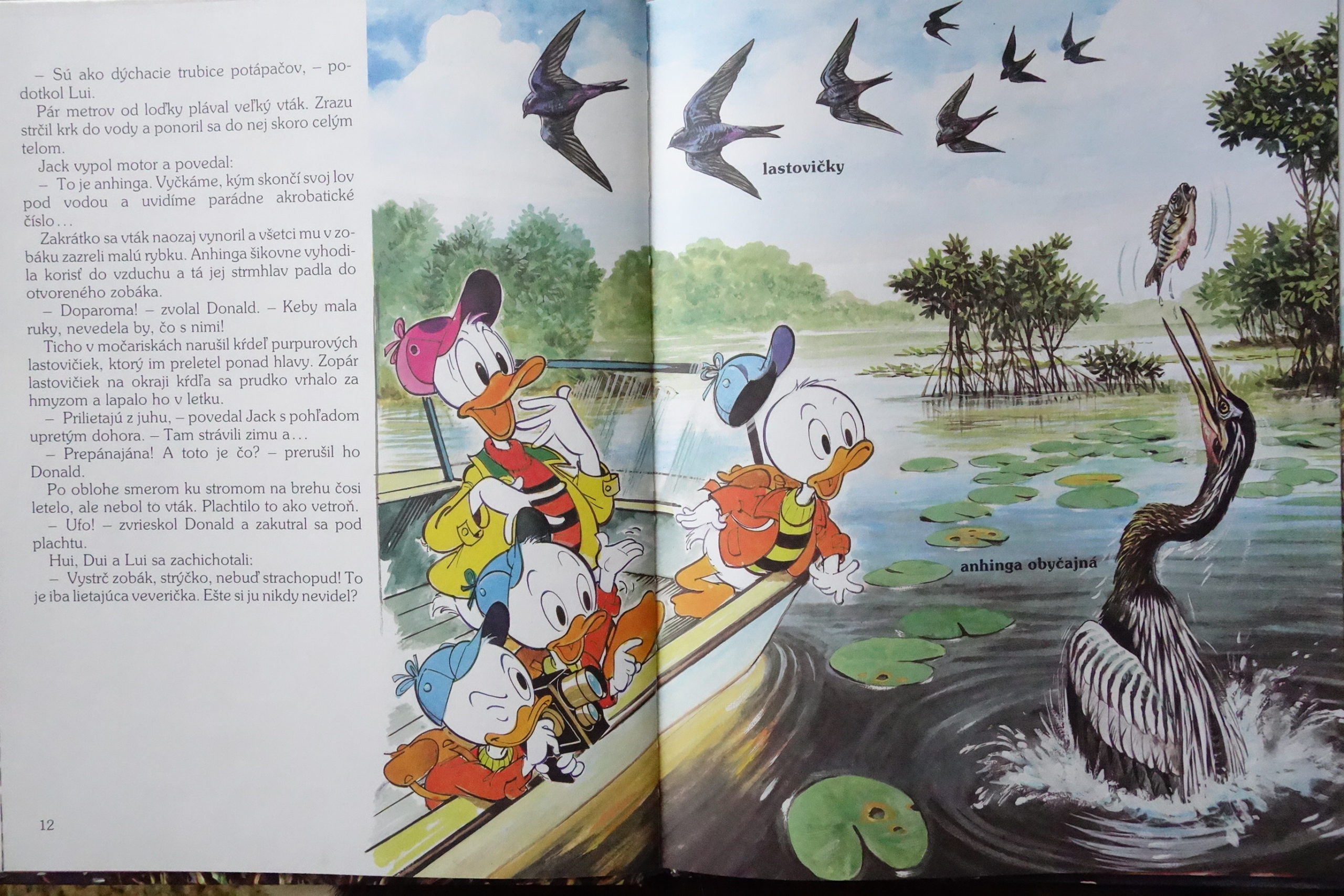 Disney Raji Walt Disney: V raji aligátorov - Zelený dom