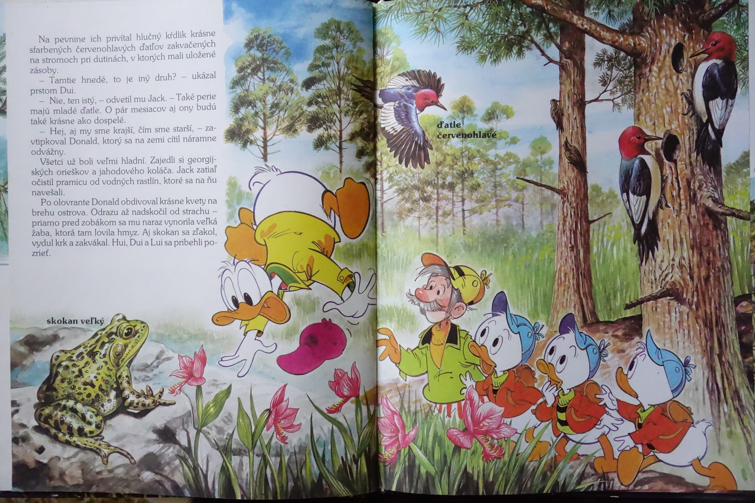 Disney Raji Walt Disney: V raji aligátorov - Zelený dom