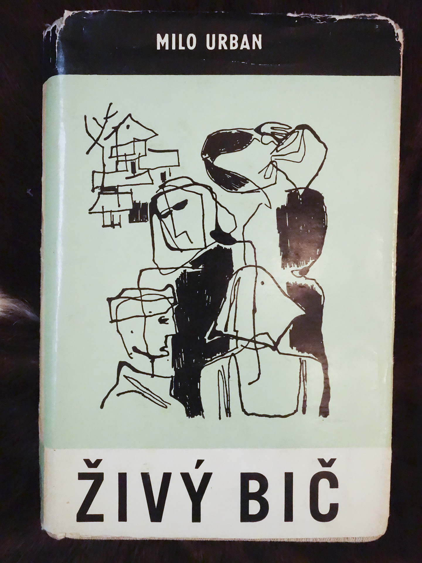 47,obr.hav.Živý bič