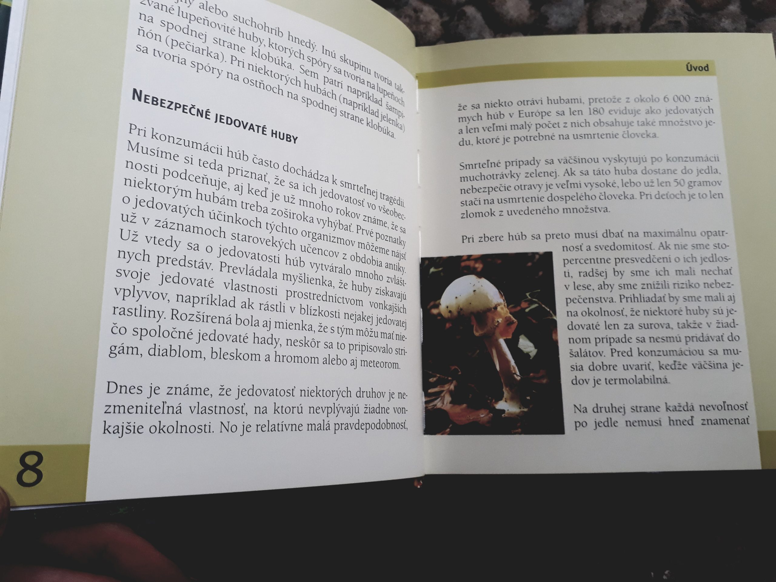 3052,obr.Huby.Poznávanie a zber...3