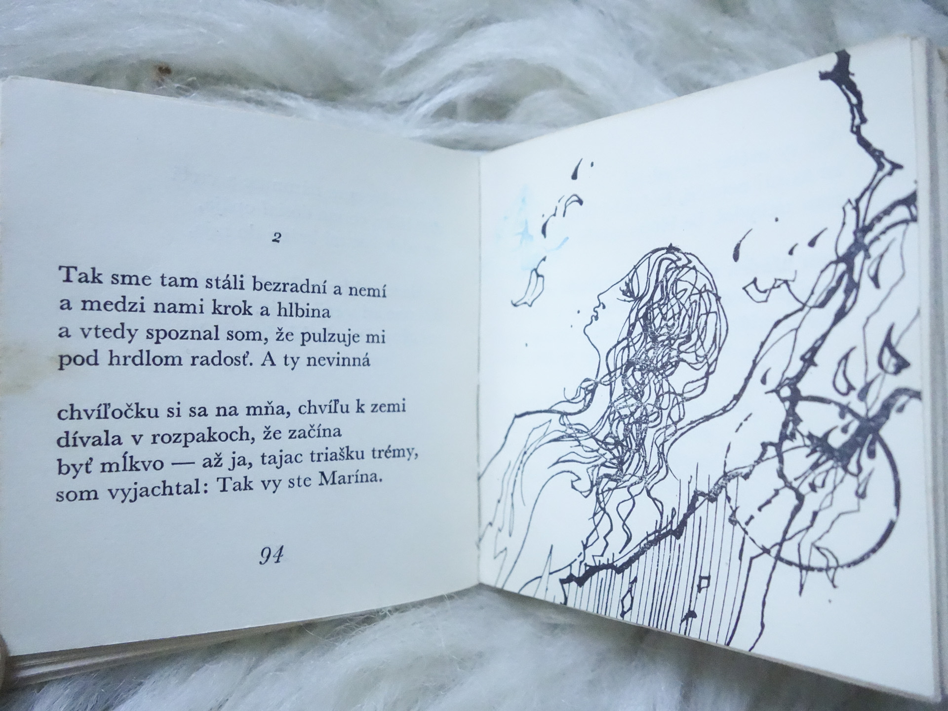 5835,obr.Ponúkanie ruží...2