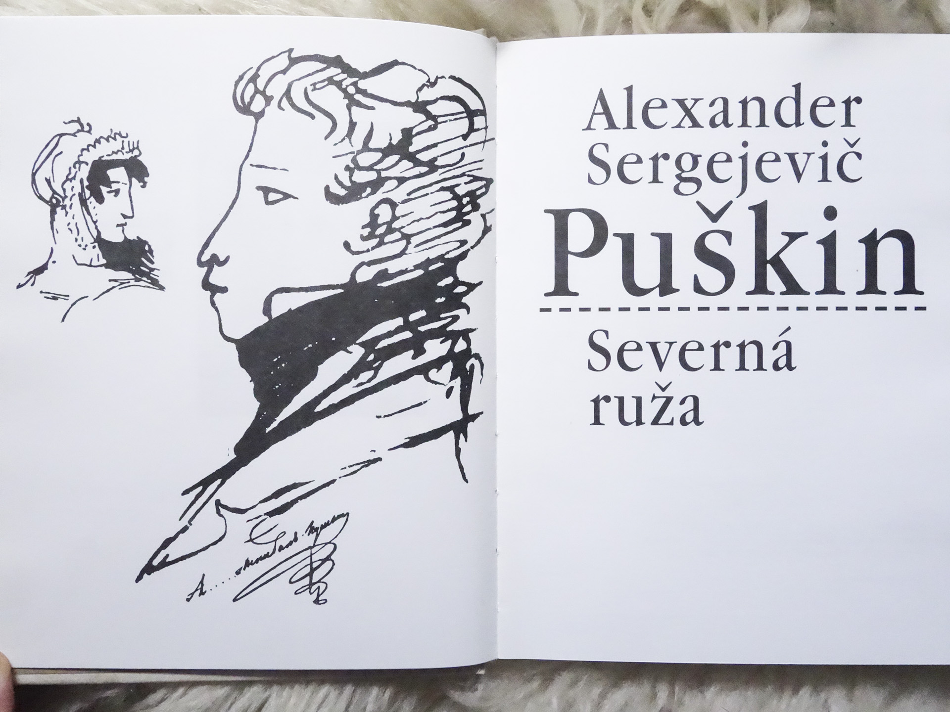 5922,obr.Severná ruža...2