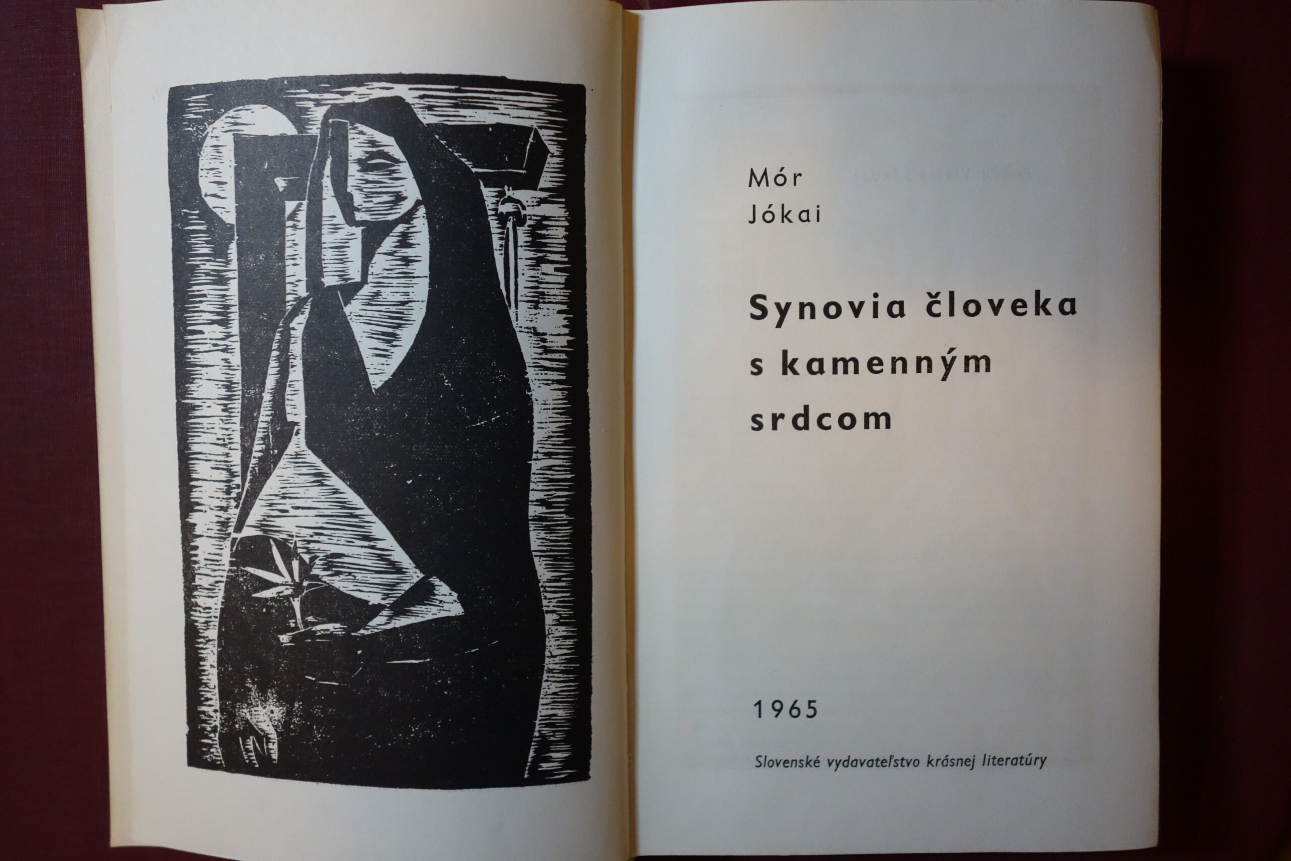 607,obr.Synovia človeka s kamenným srdcom...2